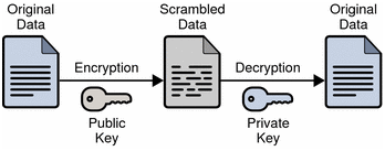 Institute Cyber Security Management